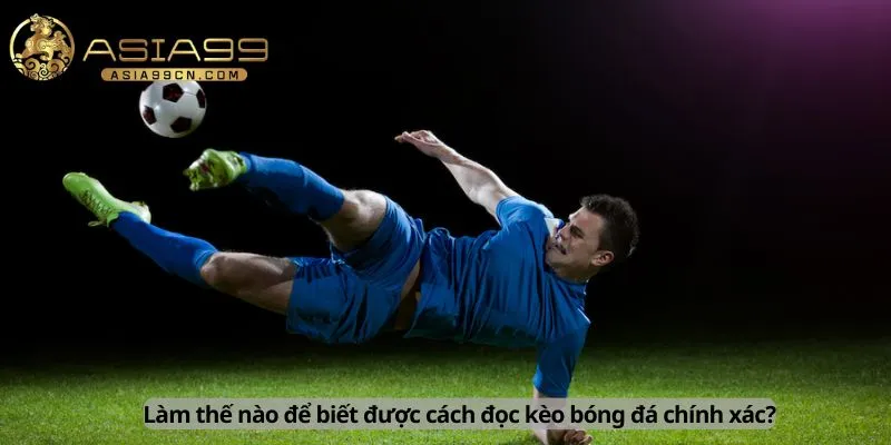 Cách Đọc Kèo Bóng Đá 2 Cách đọc kèo bóng đá chính xác