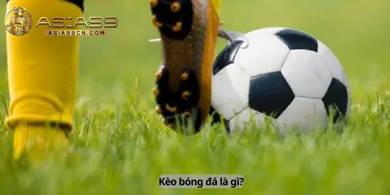 Cách Đọc Kèo Bóng Đá 1 Kèo bóng đá là gì?